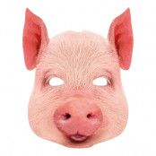 Gris Pappmask