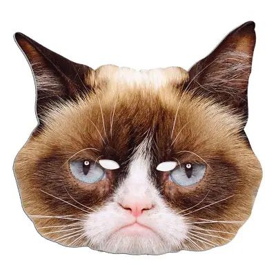 Grumpy Cat Pappmask - One size