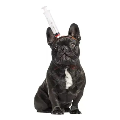 Halloween Props för Hund - Spruta