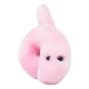 Gosedjur Könssjukdomar - Syfilis