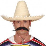 Mexikansk Sombrero Hatt Natur