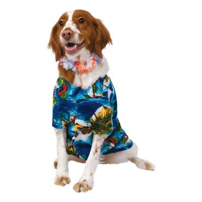Hawaii Hund Maskeraddräkt - Medium