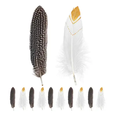 Indianfjädrar - 12-pack