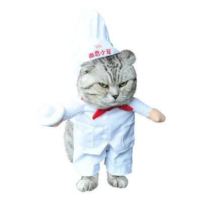 Kock Maskeraddräkt för Katt/Hund - One size