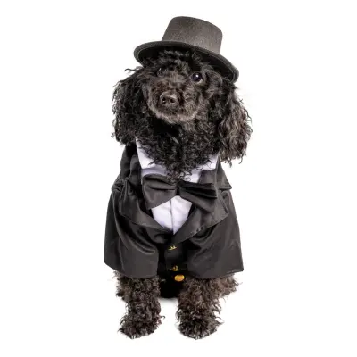 Kostym Hund Maskeraddräkt - Small