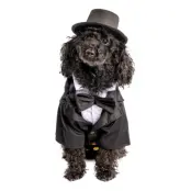 Kostym Hund Maskeraddräkt - Large