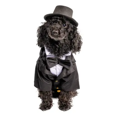 Kostym Hund Maskeraddräkt - Large