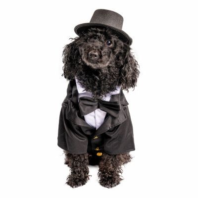 Kostym Hund Maskeraddräkt - X-Large