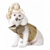 Madonna Hund Maskeraddräkt