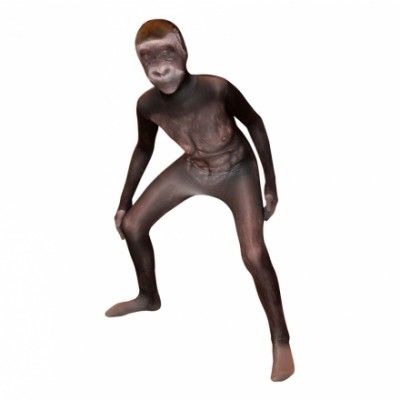 Morphsuit Gorilla Maskeraddräkt