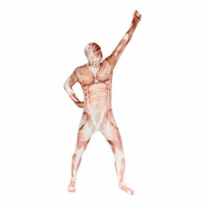 Morphsuit Muskler Maskeraddräkt