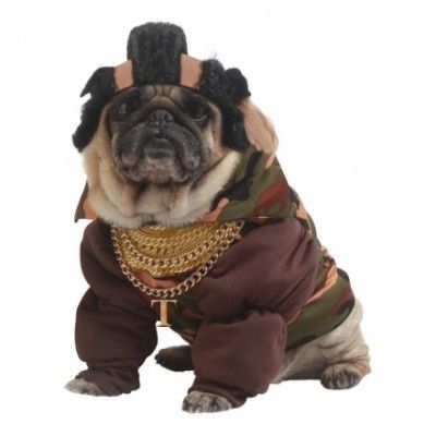 Mr T Hund Maskeraddräkt