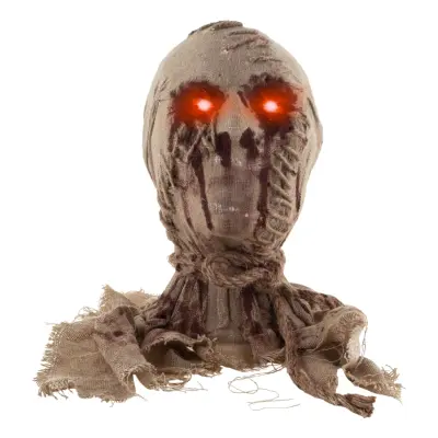Mumiehuvud med Blinkande Ögon