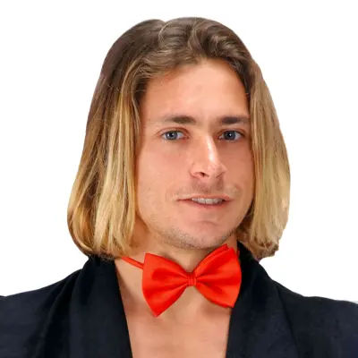 Röd Fluga i Satin - One size