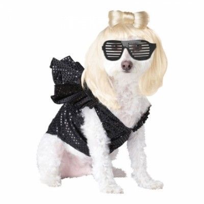 Lady Gaga Hund Maskeraddräkt