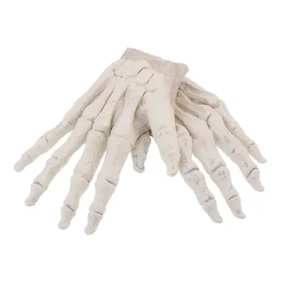 Skeletthänder Handskar - One size