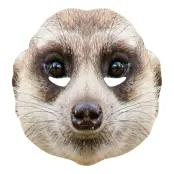 Surikat Pappmask