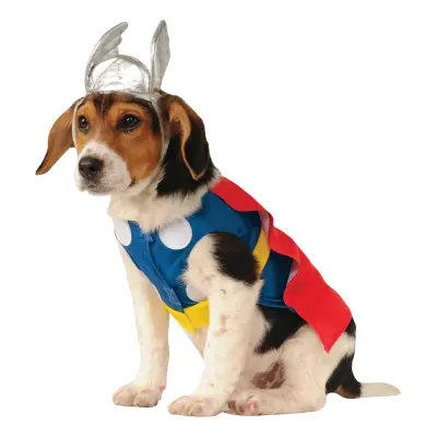 Thor Hund Maskeraddräkt - Small