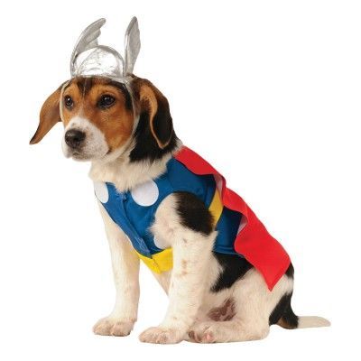 Thor Hund Maskeraddräkt - Medium