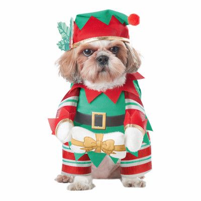Tomtenisse Hund Maskeraddräkt - Medium