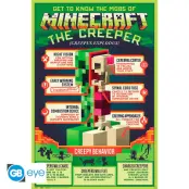 Minecraft Creepy Behaviour Poster 91.5x61cm