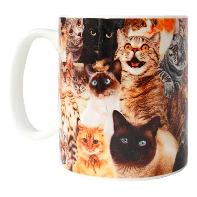 Crazy Cat Lady Mugg