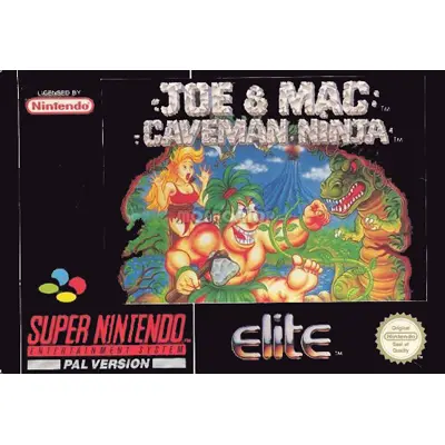 Joe & Mac Caveman Ninja