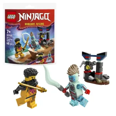 Lego Ninjago Arins strid mot dragonier 30700