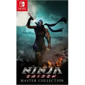 Ninja Gaiden Master Collection