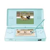 Nintendo DS Lite Turkos