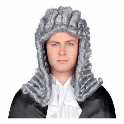 Domare Grå Peruk - One size