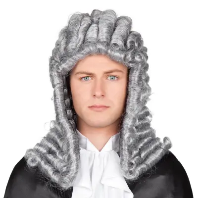 Domare Grå Peruk - One size