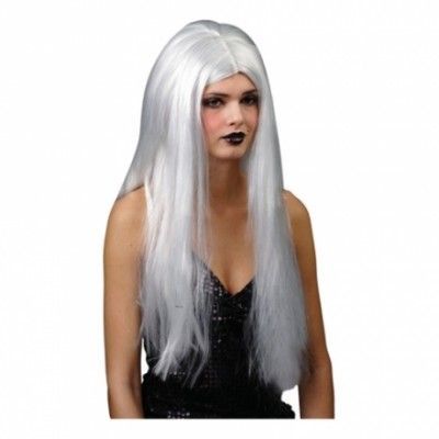 Lång Silvrig Peruk - One size