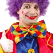 Stor Clownfluga