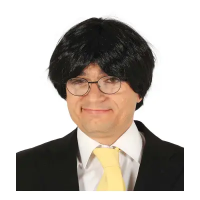 Klassisk Politiker Peruk Svart - One size