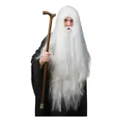 Trollkarl Peruk - One size