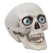 Döskalle med Ögon - 1-pack