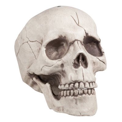 Döskalle med Rörlig Käke Prop