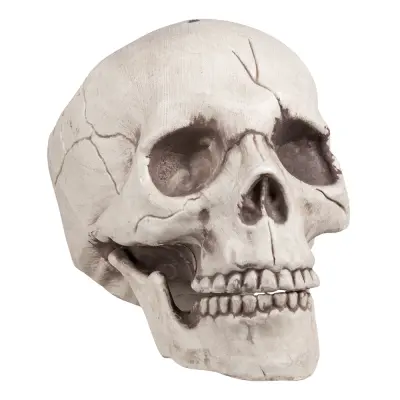 Döskalle med Rörlig Käke Prop