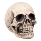 Gigantisk Döskalle Prop