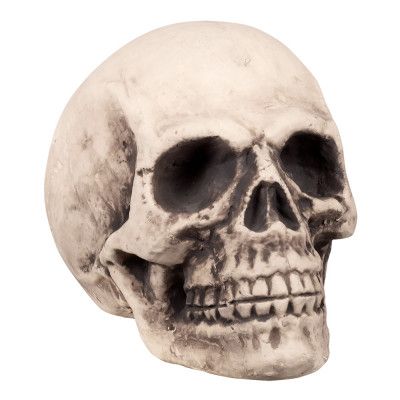 Gigantisk Döskalle Prop