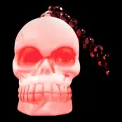 LED Halsband Döskalle