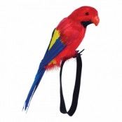 Papegoja med handledsband