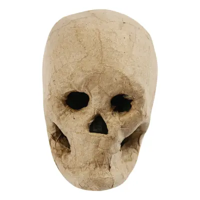 Papier-maché Dödskalle