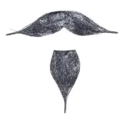 Skägg&Mustasch Silver