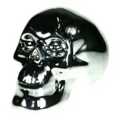 Sparbössa Döskalle