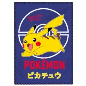 Pokemon polar blanket