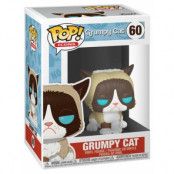 Funko! POP Icons 60 Special Edition Grumpy Cat