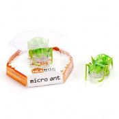 HEXBUG Micro Ant  : Model - Grön