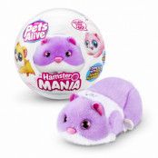 Pets Alive Hamster Mania : Färg - Purple